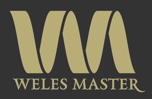 логотип бренда weles master